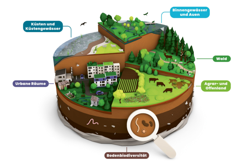 11. Bild Biodiversität
